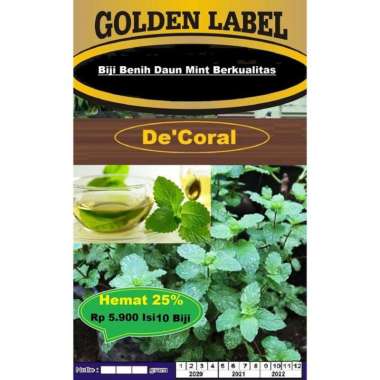 Biji Benih Daun Mint Berkualitas | Bibit Daun Mint