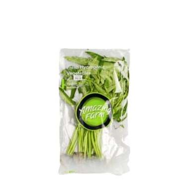 KANGKUNG HYDROPONIK PAK