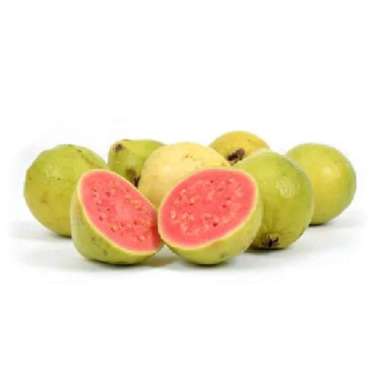 JAMBU BATU MERAH 950 - 1000 G