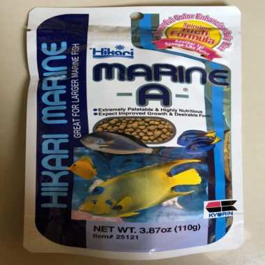 460 Koleksi Jual Ikan Hias Air Laut Surabaya Terbaru