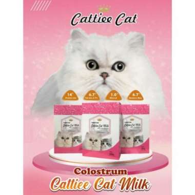 Susu Kucing - Harga Termurah November 2021  Blibli