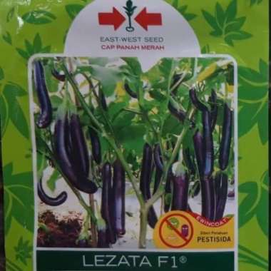Benih bibit terong ungu panjang LEZATA F1 1100 butir terung hibrida dari panah merah
