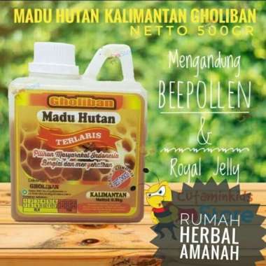 Madu Gholiban/Madu Hutan/ Madu Kalimantan 500 gram