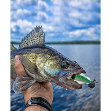 Umpan Tiruan Cumi Kail Pancing Karet Soft Lure Squid Fishing Umpan Glow Dark