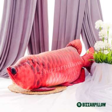 Arwana Super Red Bantal Ikan Arwana Jumbo