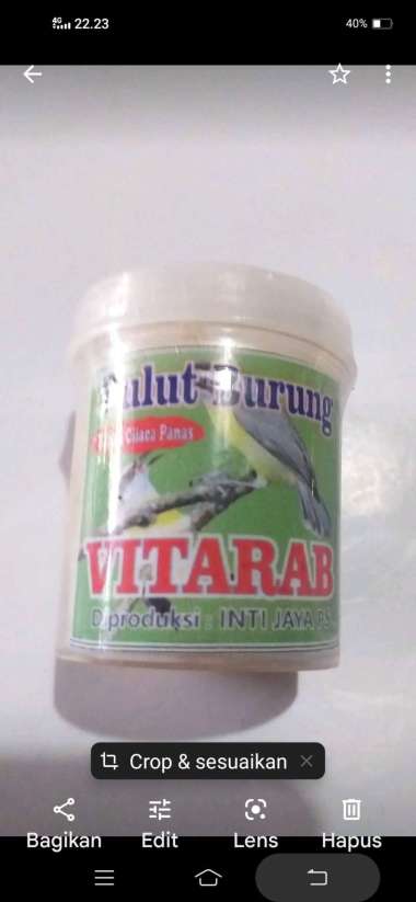 Pulut buat jebak burung