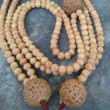 kalung jenitri atau rudraksha bandul jenitri besar