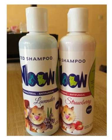 Rainbow Medicated Shampo Kucing [250 ml] Anti Kutu, Jamur dan Bakteri Lavender