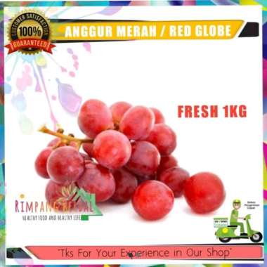 anggur merah | seedless 1kg | buah segar | terbaik