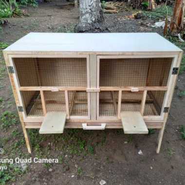 kandang burung merpati 2 pintu