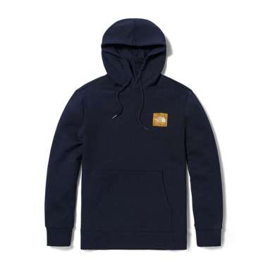 the north face bearinda hoodie