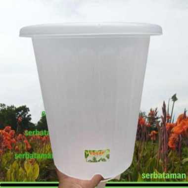 Unik Pot Bunga GROSIR Yogap 25 TransparanBening  Pot Tanaman Plastik Terbatas