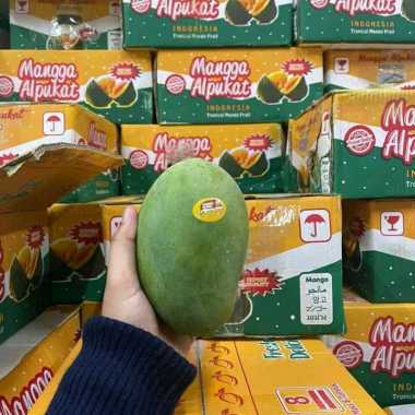 Mangga Alpukat