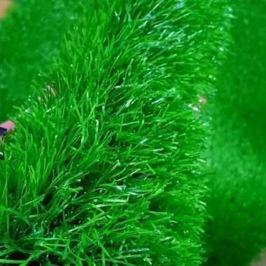 Rumput Swiss karpet sintetis ukuran 25 x 25 Hijau