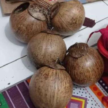 Glodok Batok burung lovebird