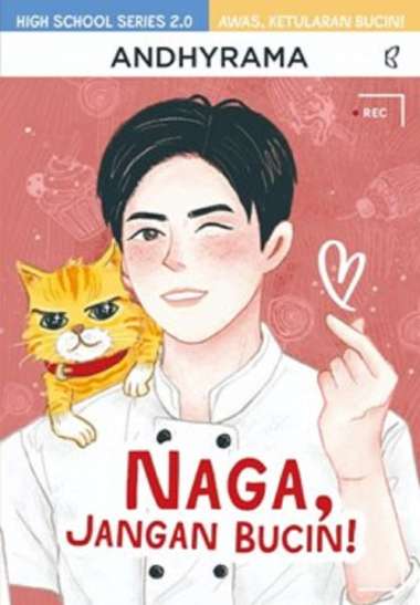 Mizan Buku Novel Naga, Jangan Bucin!-High School Series | Romansa