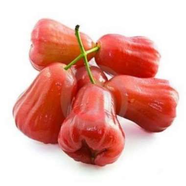 Jambu air merah segar 1kg