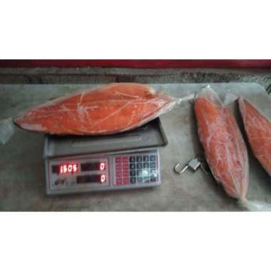 SALMON SEGAR 1,5 KG