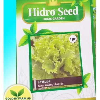 Benih Lettuce New Grand Rapid - Hidro Seed