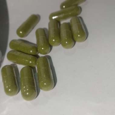 Kapsul Daun Bidara Kering Hijau 100Kapsul