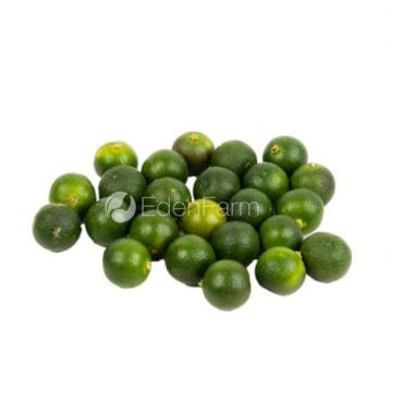 Sayur Jeruk Kit / Kunci / Kalamansi Segar 1 KG