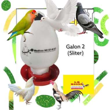 Tempat 5 Liter Minum Burung Ayam Bebek Lovebird Dispenser 2 Galon Boto