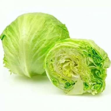 Sayur Head Lettuce/ Iceberg Lettuce 1 Kg
