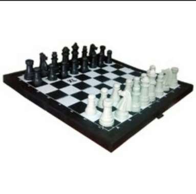 Catur Plastik ukuran S Multicolor