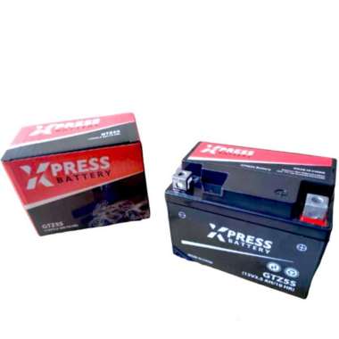 Aki Motor Honda Beat-Scoopy Gtz5s MF-Aki Kering 100% multicolor