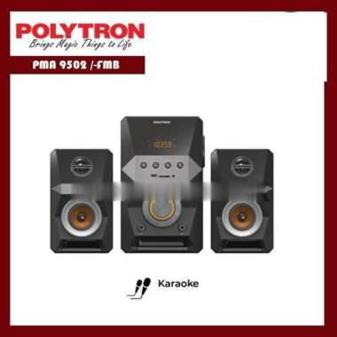 POLYTRON PMA 9502 /-FMB Multimedia Speaker Bluetooth Speaker Karaoke