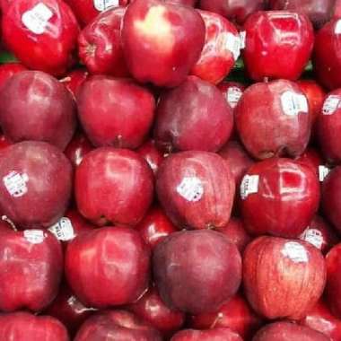 Apel Merah Segar 1 kg