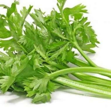 Daun Seledri 1 kg