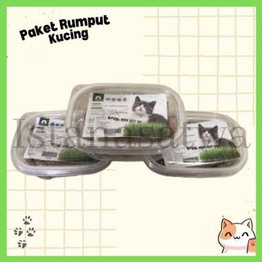 Rumput Kucing Cat Seed Wheat Grass Paket Lengkap
