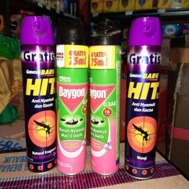 baygon 600ml