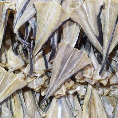 IKAN ASIN PARI TIPIS / IKAN ASIN PARI OHANG 500gr