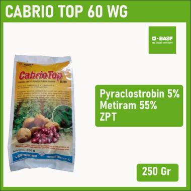 Cabrio Top 60WG Fungisida Busuk Batang Bercak dan Busuk Daun [250 Gram] MULticolour