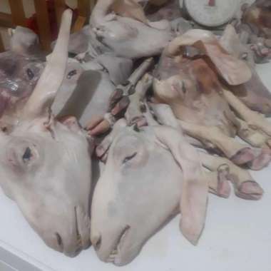 Kepala Kambing 1Buah Dan 1Set Kaki