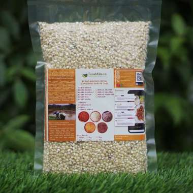 Beras Sorgum Sosoh FRESH langsung dari Petani I Sorghum I 500gram Vacuum