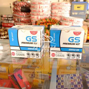 GS GM5Z-3B Aki Motor Basah
