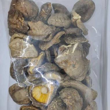 250gr Jamur Hioko - Shitake - Kering - Ukuran Besar