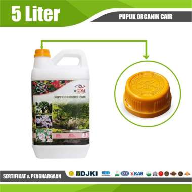 Bunga Mawar Harga Terbaru Agustus 2020 Blibli Com