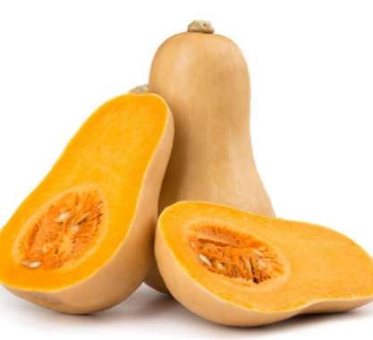 Butternut Cocoa / Butternut Squash / Labu Madu