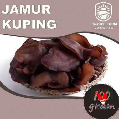 Jamur Kuping Basah