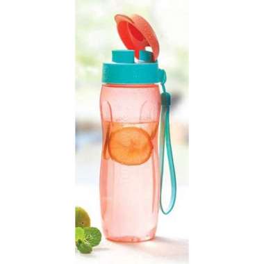 Botol Minum Tupperware Warna Biru Harga Terbaru September 2020 Blibli Com
