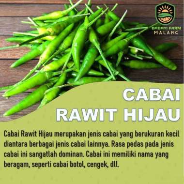 Cabe Rawit / Cabai Rawit Hijau 1 KG