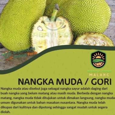 nangka muda sayur / gori / tewel 250 gram