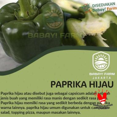 Paprika Hijau 1 Kg