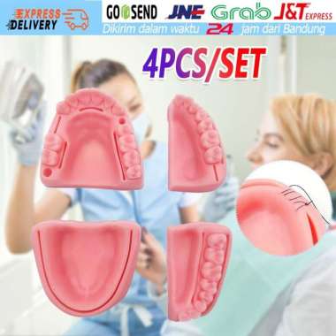 4Buah Model Gigi Latihan Menjahit Suturing Gusi Suture Suturing Pad