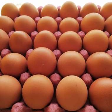 Omega 3 Telur Ayam Vegetarian 15