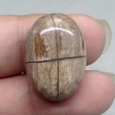 Batu Akik Fosil Pamor Tapak Jalak Coklat Asli (Kode 1230) Coklat